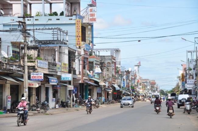 CHI HỌ TÔ BỒNG SƠN, HOÀI NHƠN, TỈNH GIA LAI